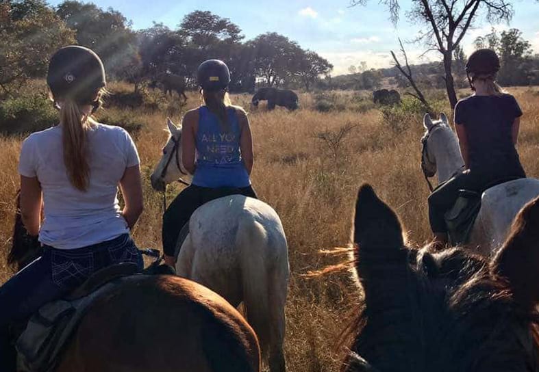 family volunteers horse riding