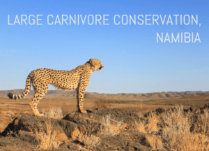 Carnivore Conservation Research Programme