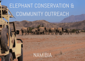 Elephant Conservation Programme in Namibia