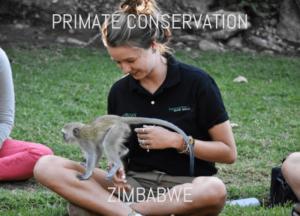 Primate Conservation and Wildlife Sanctuary Programme in Zimbabwe