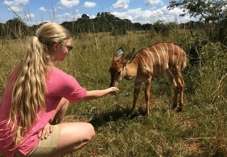 family volunteers feeding antelope