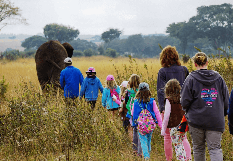 family volunteers walking with elephants
