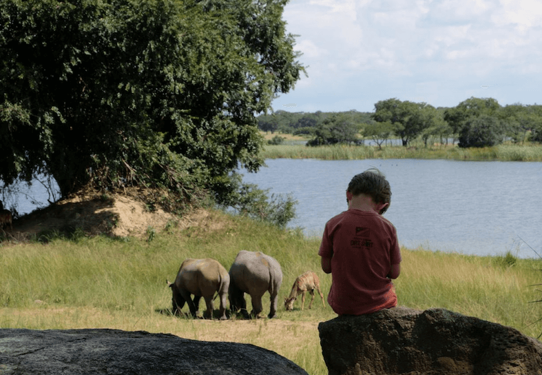 family-volunteers-rhino