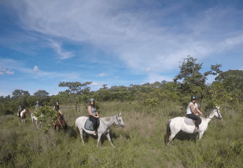 volunteer-horse-riding