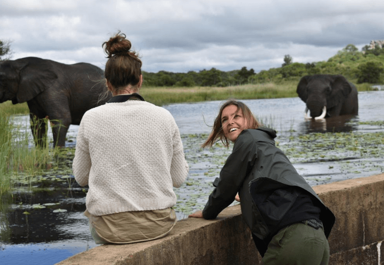 volunteer-with-elephants