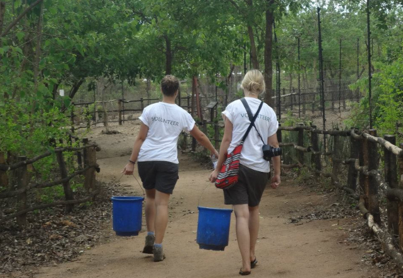 sanctuary volunteers carrying food
