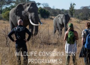 Wildlife conservation programmes