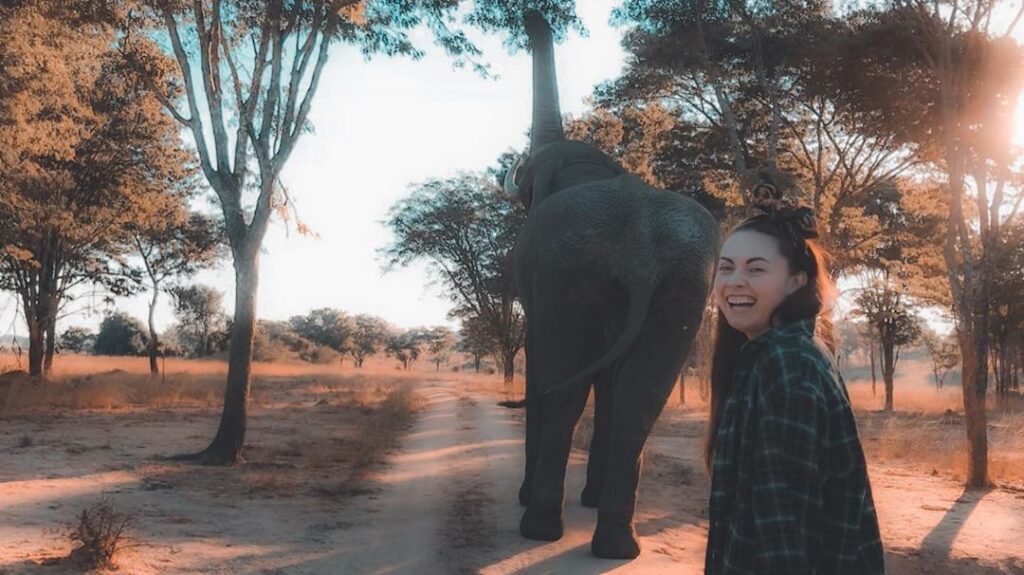 Volunteer with elephant in Zimbabwe