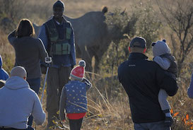 Family volunteering - rhino and elephant programme