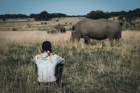 Rhino & Elephant Conservation Programme in Zimbabwe