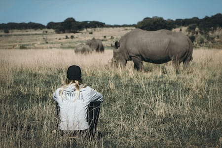 Rhino and Elephant Conservation Programme Zimbabwe
