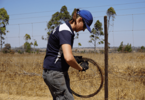 Volunteer helping to fix fence