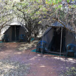 Image of tents