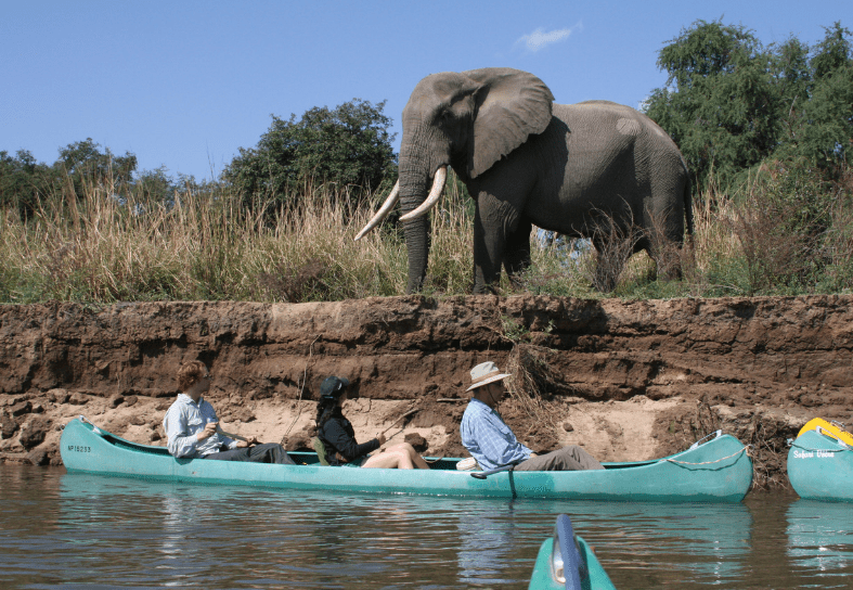 Canoe Safari Mana