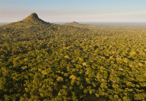 Gorongosa view