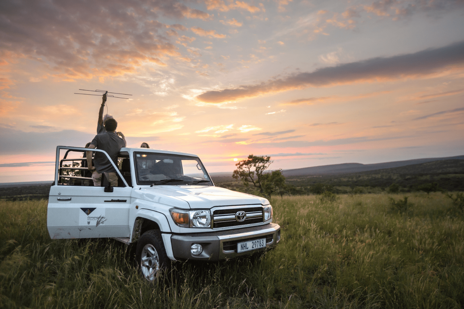 Volunteer in South Africa Work with endangered wildlife