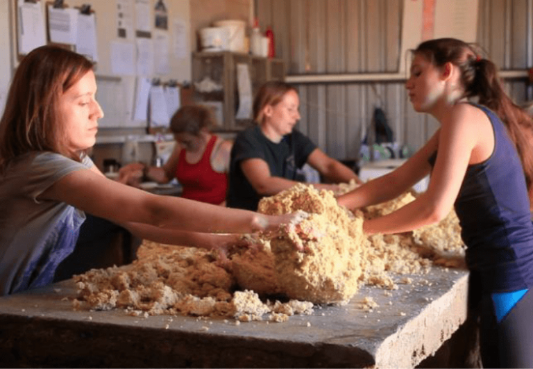 Wildlife Sanctuary Volunteer Programme - Volunteer in Namibia