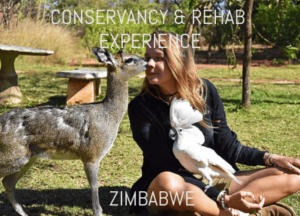 Wildlife Conservation and Rehabilitation Programme