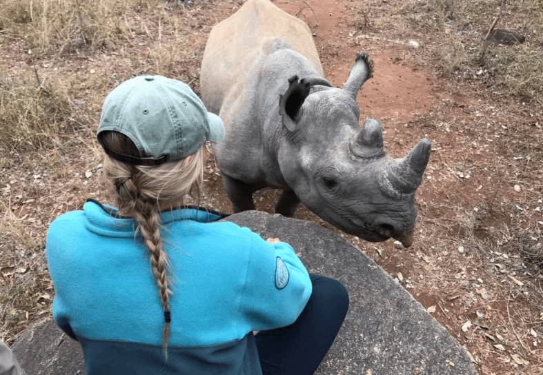 imire-rhino-monitoring