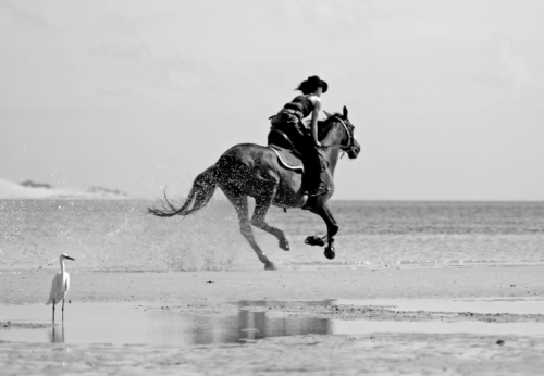 mozambique-horse-riding