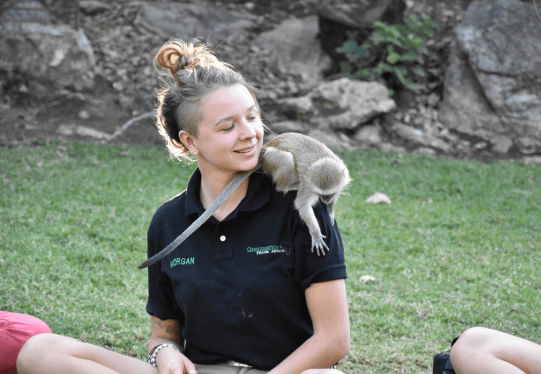 primate-conservation-monkey-volunteer