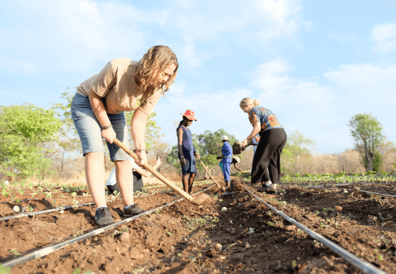 volunteers-farming