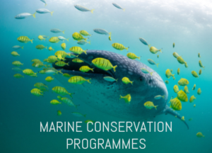 Marine Conservation Programmes