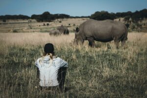 Volunteer in Zimbabwe sitting on ground with black rhino in the background
