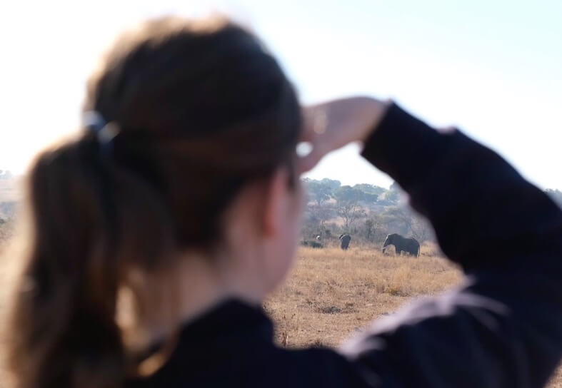 Girl looking at elephants in the distance