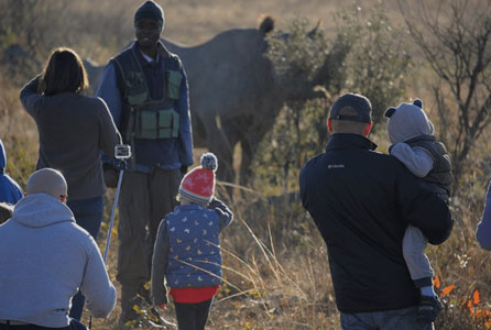 Family Volunteering - Rhino and Elephant Conservation