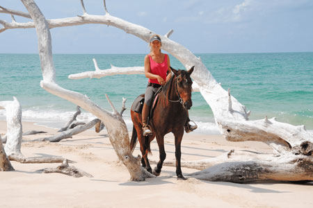 Horse Riding Internship in Mozambique