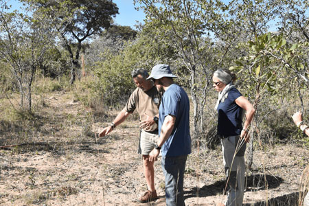 Anti-Poaching Training Course for mature volunteers