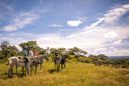 Horse Riding and Rhino Conservation Programme