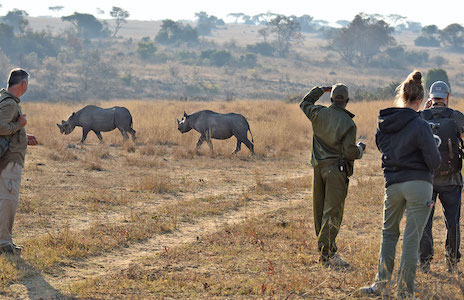 Image of local teachers guiding Africa volunteer trips - Wildlife conservation volunteer programmes