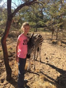 girl volunteer in zimbabwe with zebra