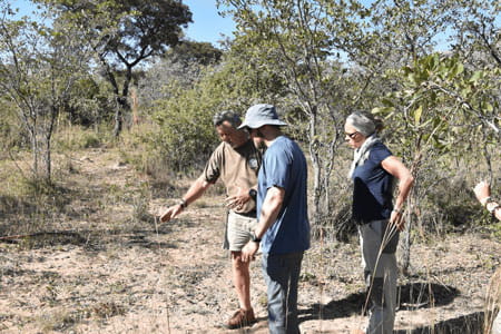 Mature-volunteer-anti-poaching