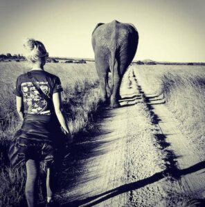 Volunteer walking with elephants in Zimbabwe
