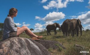 Volunteer with elephants in Africa