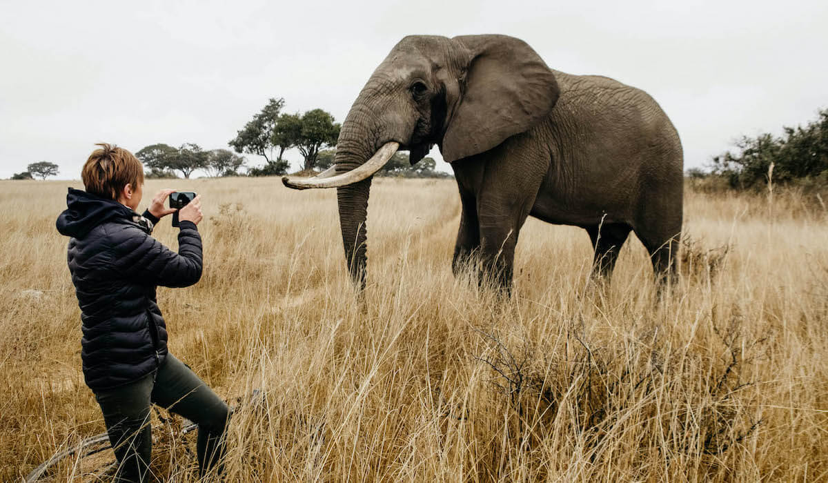 Volunteer standing in front of elephant taking photo