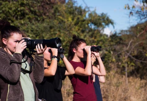wildlife research volunteers looking through binoculars