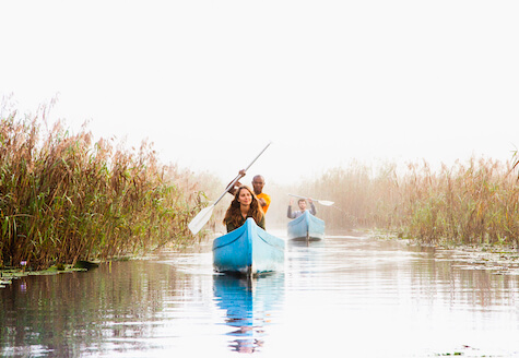 Canoeing in the mangroves