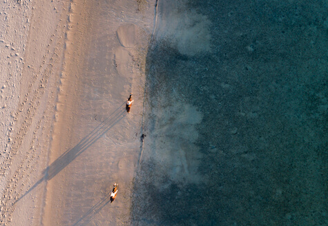 Drone shot of horses on the beach