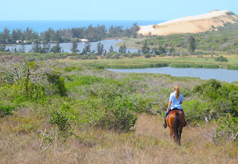 Horse riding on coastal trail ride