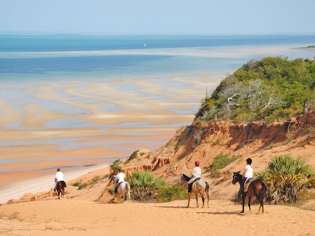 Horse riding group riding down sand dune to large sandy beach