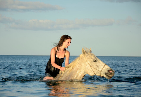 Horse swimming in Indian Ocean