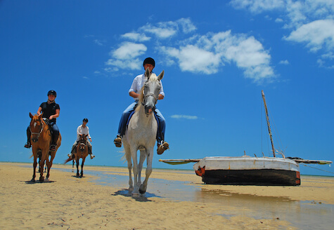 Horses riding on the beach