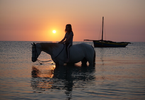 Sunset horse riding on the beach