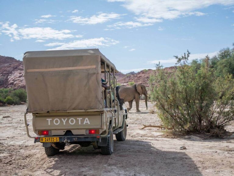 Volunteer safari vehicle watching desert elephants in Namibia