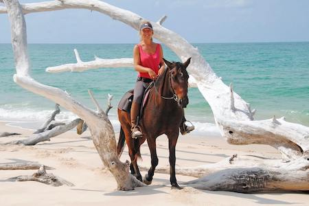 horse riding volunteer programme mozambique