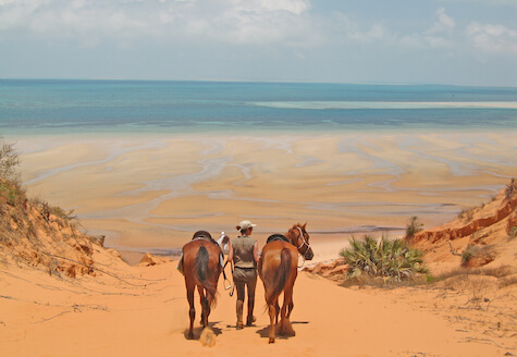 horses walking down sand dune to beach